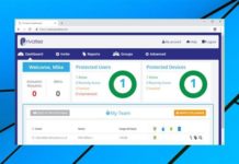 Privatize Business VPN Review